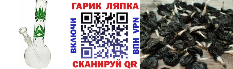 Гашиш Изолятор Демидов